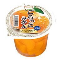 GOROTTO FRUIT series Gorotto Mandarin Orange