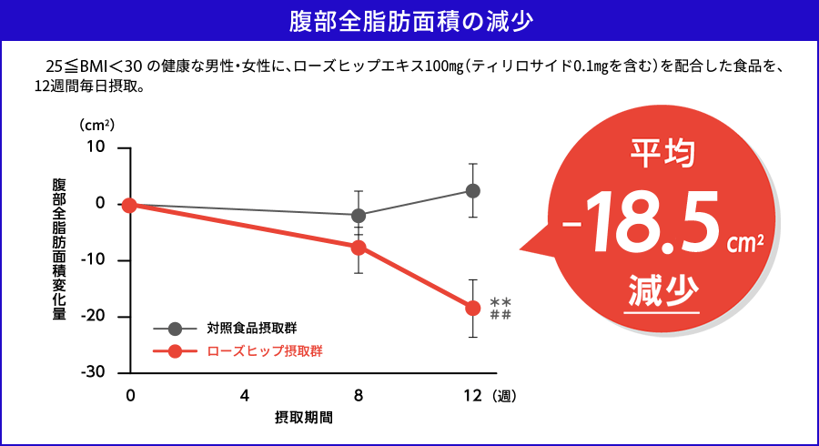 腹部全脂肪面積の減少