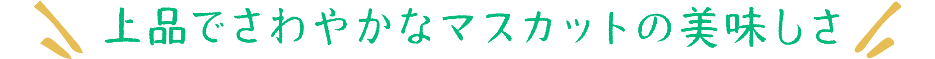 上品でさわやかなマスカットの美味しさ