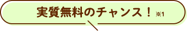 実質無料のチャンス※1