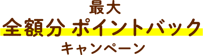 最大全額分ポイントバックキャンペーン