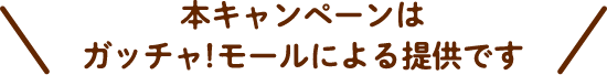 本キャンペーンはガッチャ！モールによる提供です