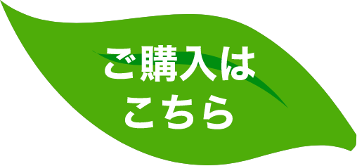 ご購入はこちら