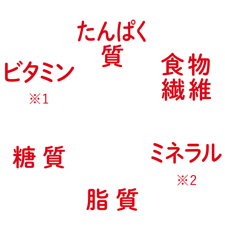 たんぱく質 - 食物繊維 - ミネラル - 脂質 - 糖質 - ビタミン