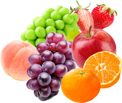 カラダ想いの自然な味わい蒟蒻ゼリー