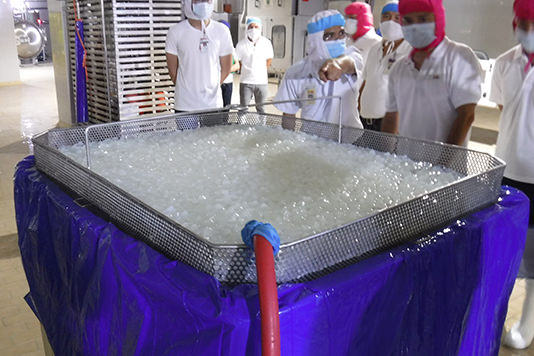 From the processing technique to hygiene. Nata de coco is produced at the Japanese-standard dedicated line.
