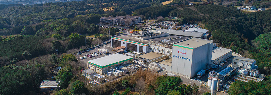 Fresh seasonal fruit is processed and transformed into delicious fruit jellies at our Tarami factory.
