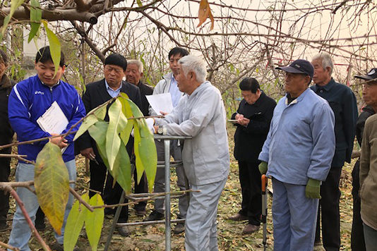 We are working on our work efficiency and quality improvement using Japanese farming methods.