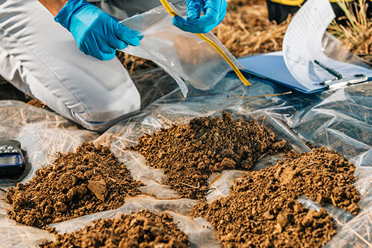 Soils and water are strictly and safely controlled with pesticide residue tests.