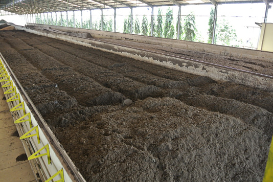 An environmentally friendly recycling agriculture system fosters fertile soil and products.