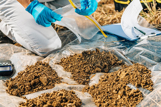 土壌や水質、残留農薬の検査で徹底した安全管理を実践しています。