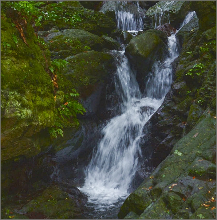 写真：滝